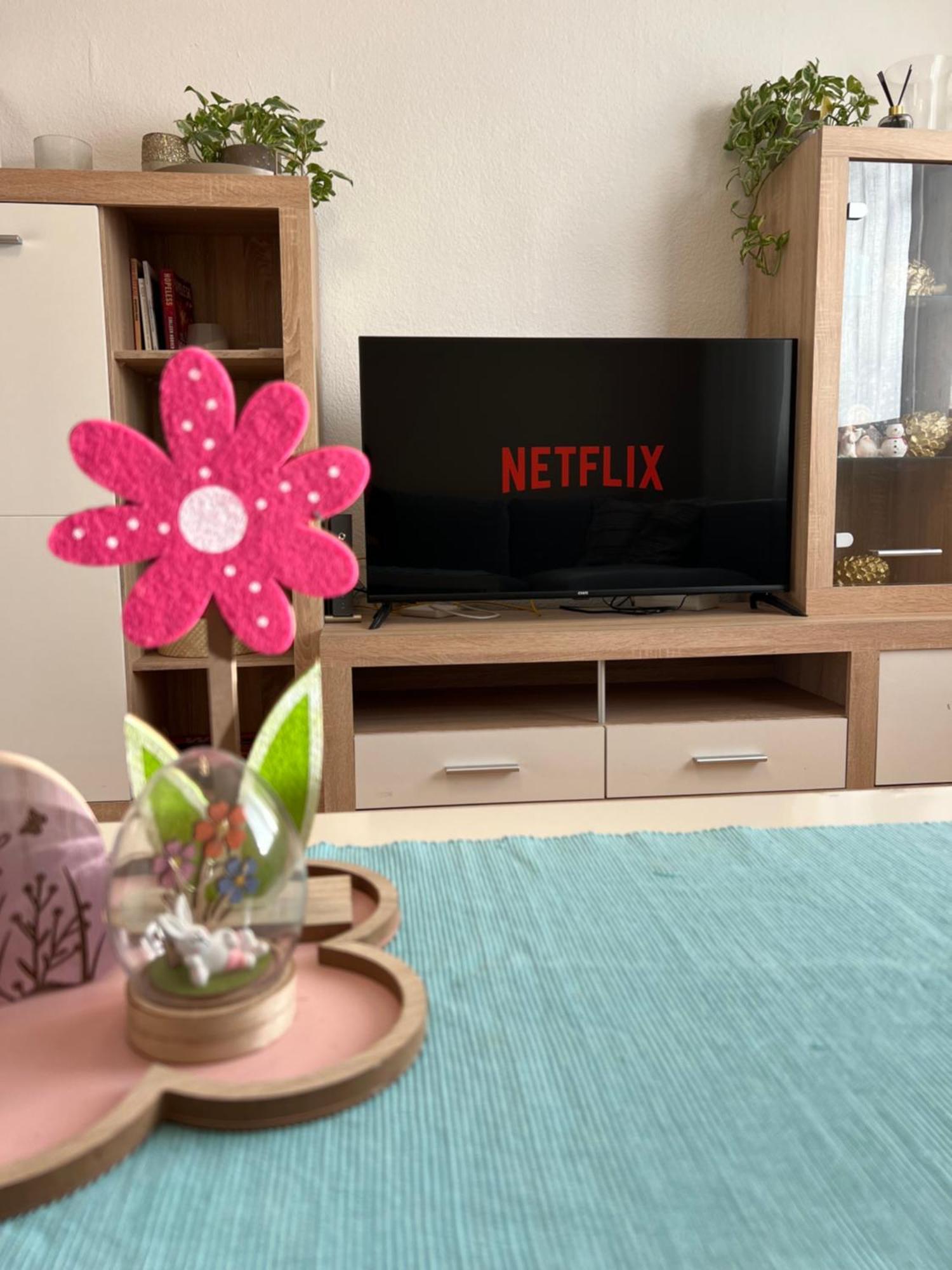 Appartement Gemuetlich Eingerichtete 2-zimmer In Meiderich